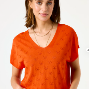 C50243 - 4294 GARCIA